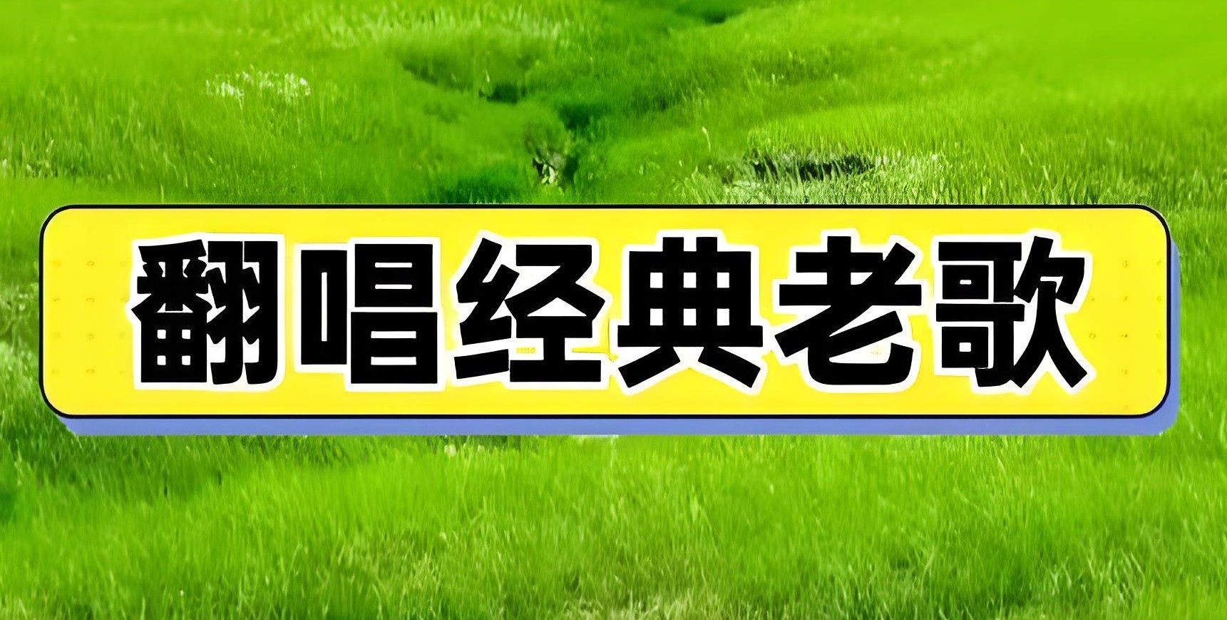 抖音老歌神级翻唱歌曲无损合集 MP3/WAV格式 9.5GB