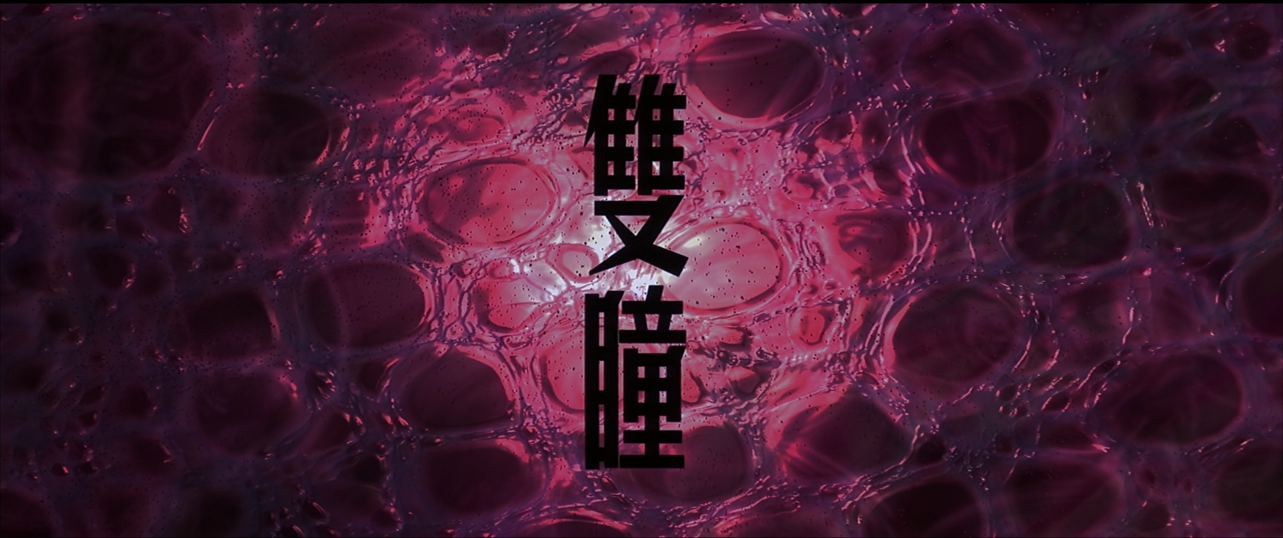 双瞳(2002)【BluRay.1080P 蓝光压制】【国粤双语】【内封简繁字幕】【梁家辉/刘若英】【11.7GB】