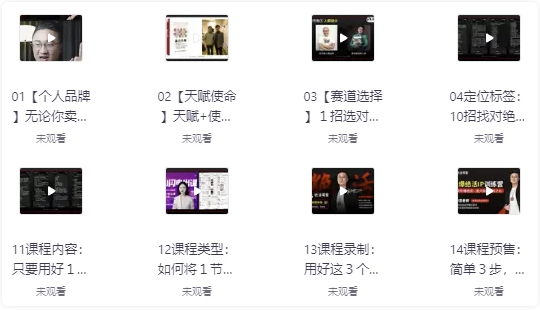 引爆绝活IP训练营，14天引爆绝活，放大你的一技之长 【3.6GB】