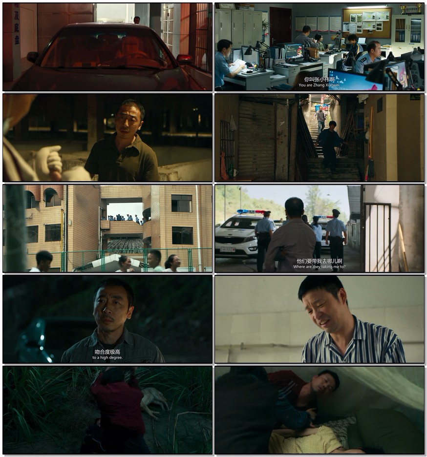         [怒水西流]        [2025最新 王迅/宁理/犯罪大片]        [国语中字]        [4K/2.5G]        [多版本/高码率]