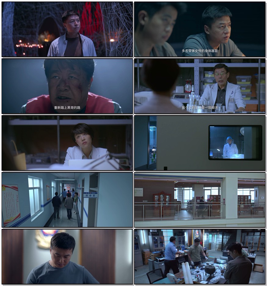    [已补]   [悬镜]   [全18集]   [6G]   [国语中字]   [1080P]   [任达华 朱雨辰2025热剧]