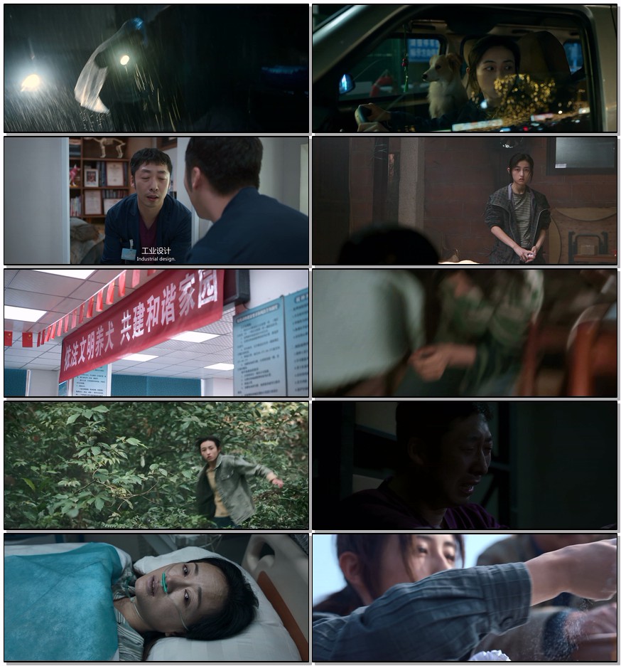      [我会好好的]     [2025最新张子枫/王景春 治愈电影]     [国语中字]     [4K/3.8G/4.5G]     [多版本/高码率/杜比全景声]