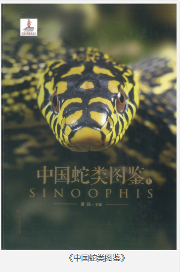 《中国蛇类图鉴》 [上下册] [pdf] [30MB]