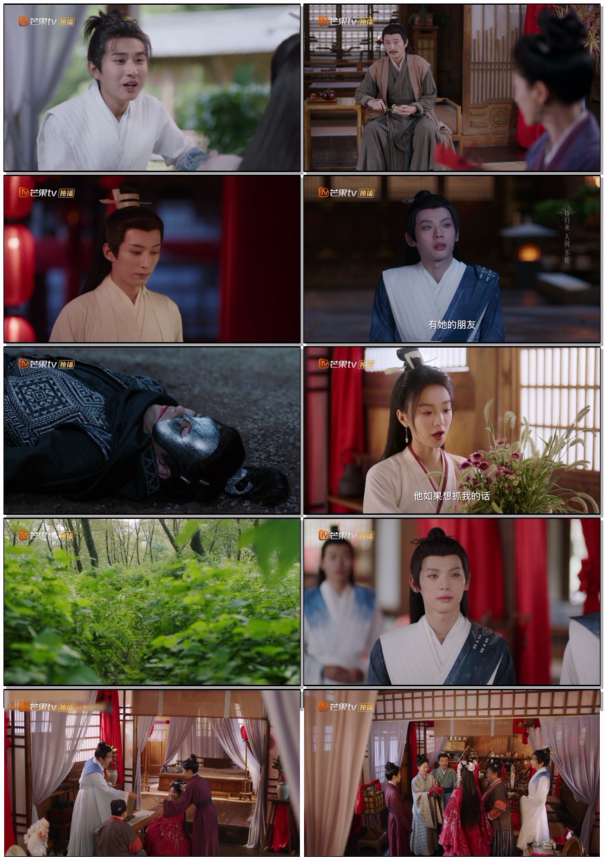            [落花时节又逢君]           [更新至第21集]           [2025刘学义/胡意旋 新剧]           [国语中字]           [4K/2GB]