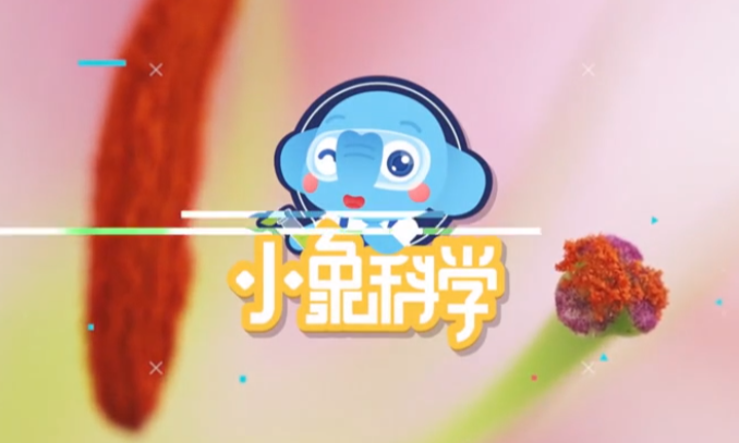 奇妙动画小象科学实验课 1-9阶段【11GB】