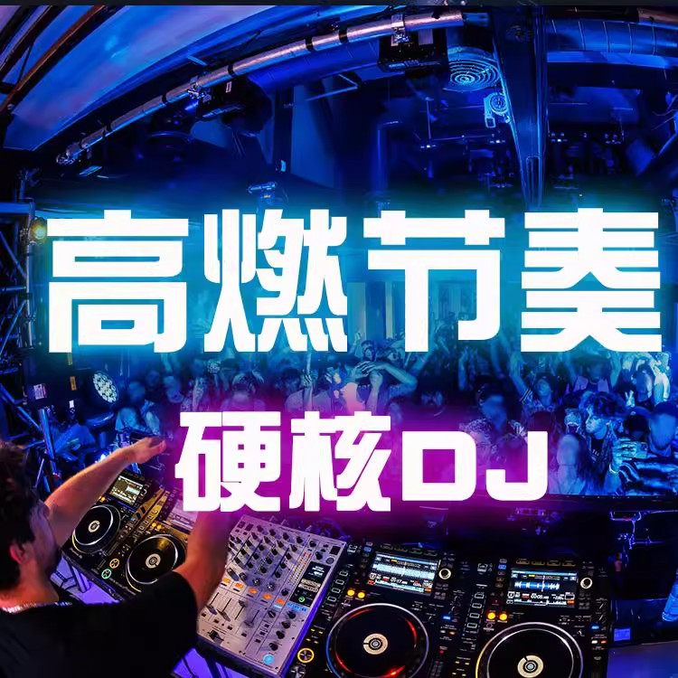动感热烈高燃DJ舞曲合集 MP3/WAV格式 7.3GB