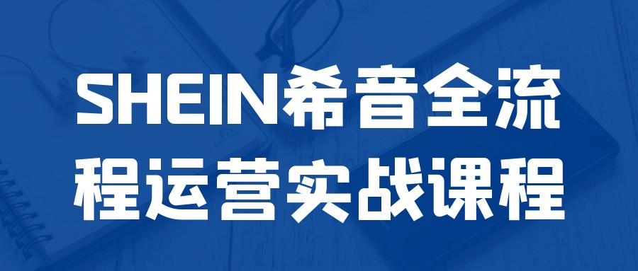 SHEIN希音全流程运营实战课程【1GB/MP4】