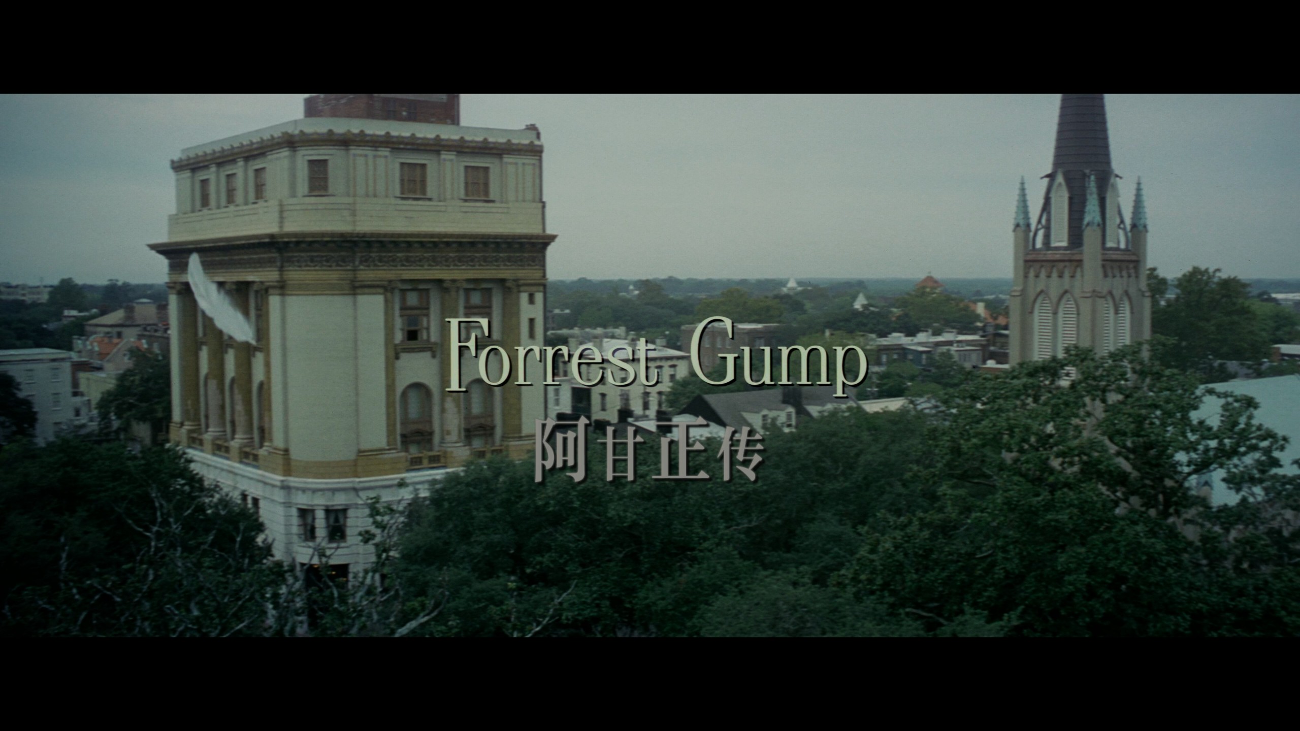 阿甘正传 (1994) CEE典藏版【4K蓝光原盘REMUX】【杜比视界&杜比全景声国英双语+导评中字】内封简繁英双语特效字幕 [84.2G]