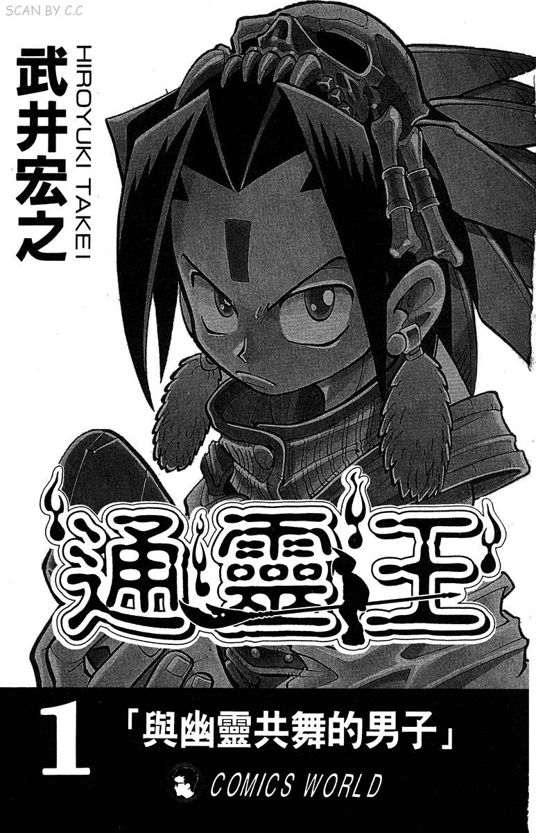  [通灵王] [武井宏之] [天下] [32卷] [PDF] [1.4G]