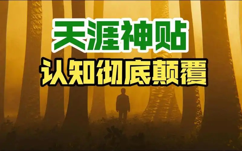 天涯神贴去水印纯干货 收藏版99份+1.48G