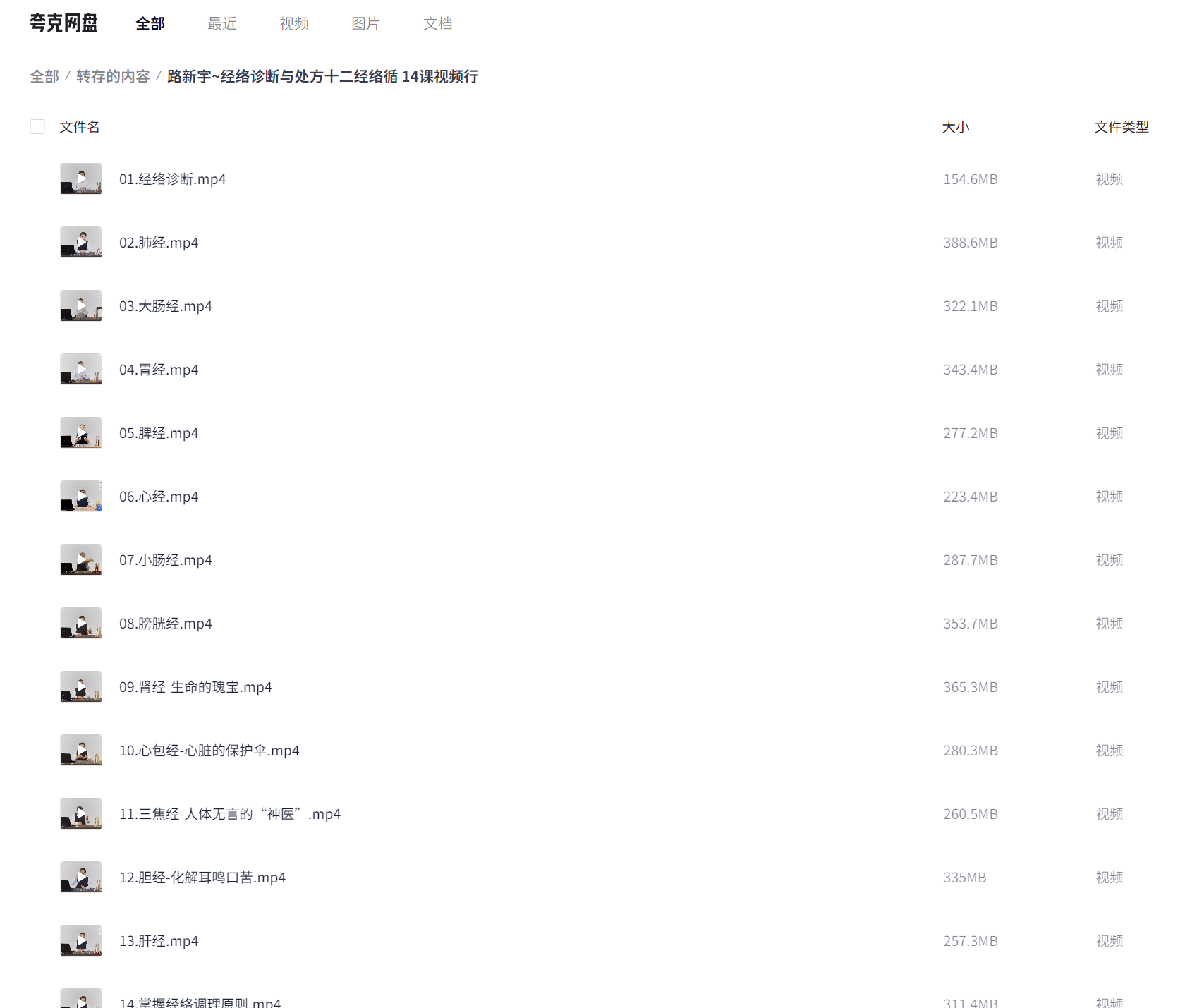 路新宇~经络诊断与处方十二经络循 14课视频行(4.1GB)