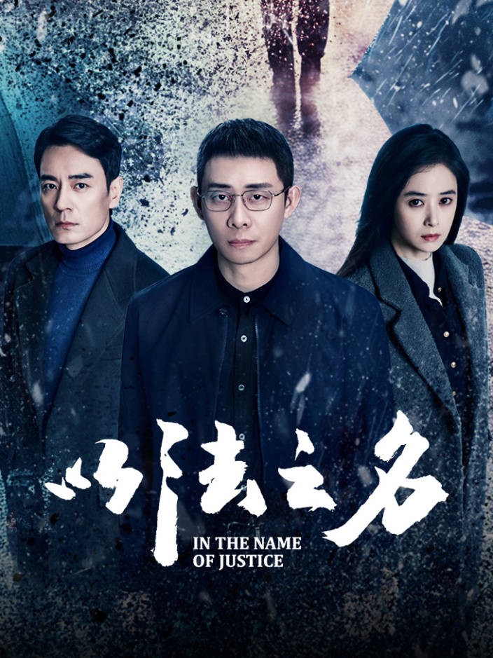 以法之名 (2025) 4K.更新中.内嵌中字.单集1G