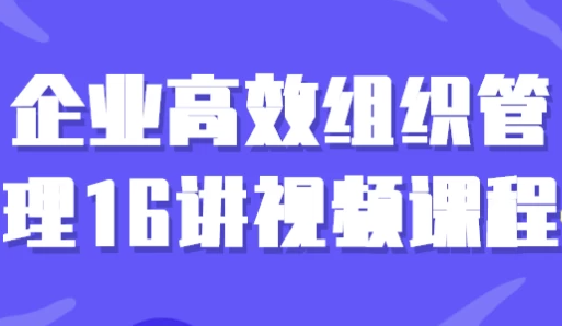 企业高效组织管理16讲视频课程 【4.7GB】