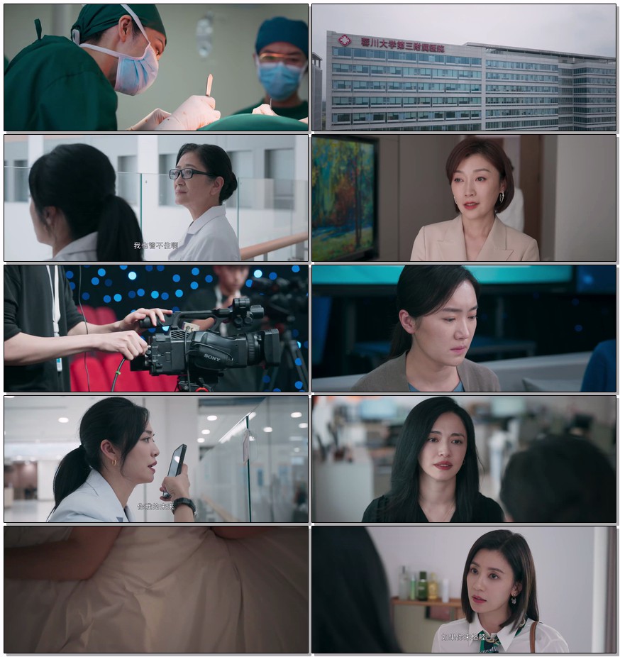  [已补] [以美 之名] [全29集] [2025姚晨 贾静雯] [1080P/11G] [国语中字]