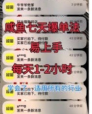咸鱼七天爆单法，学会了适用所有的行业，易上手【187MB】