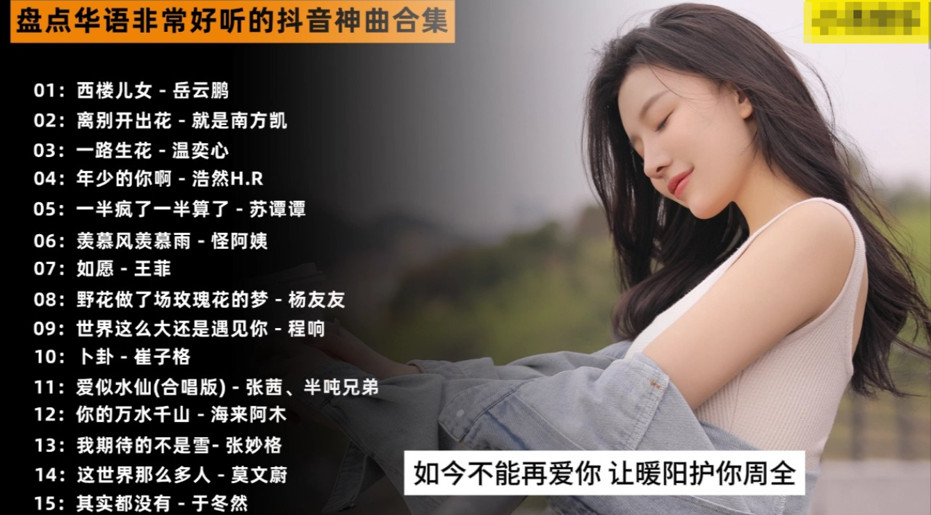 2025年第2期全风格车载U盘专用音乐舞曲DJ合集共3000首【MP3/23.9GB】