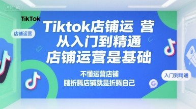 Tiktok店铺运营从入门到精通，店铺运营是基础，不懂运营店铺，瞎折腾店铺就是折腾自己【3GB/MP4】