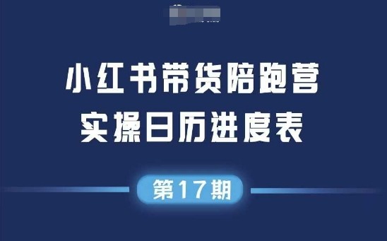 小红书第17期带货陪跑营，不囤货，无不直播，无不投流，通过选品+笔记内容+测品+笔记铺量+矩阵运营打爆款【3GB/MP4】