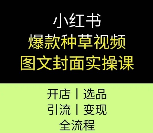 小红书聚光投放保姆级教程，让你的私信开口成本降低10倍【11.9GB/MP4】