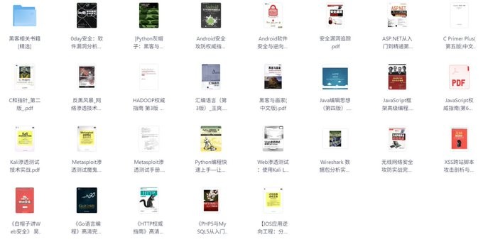 《黑客技术圣典》合集 Kali Linux官方推荐｜OWASP年度必读书单收录【PDF】【3.76GB】