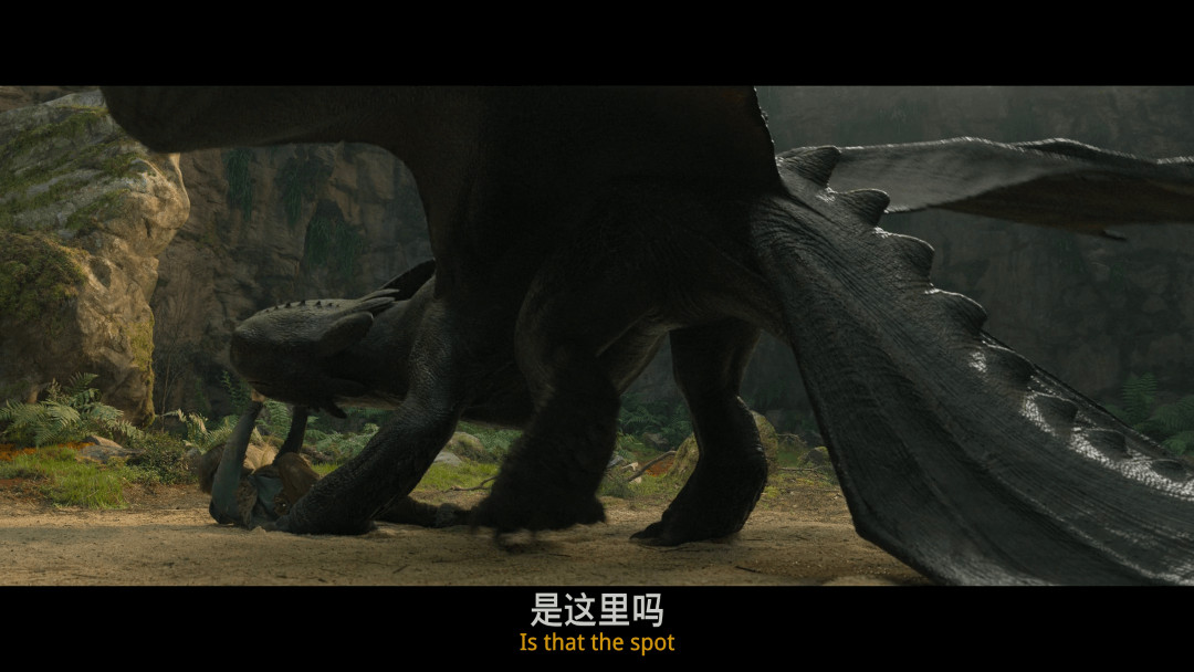 新·驯龙高手（2025）【4K HDR 杜比视界】 杜比全景声 【内封中英双语特效字幕】【22.4G】又名 :新驯龙高手、 驯龙高手真人版