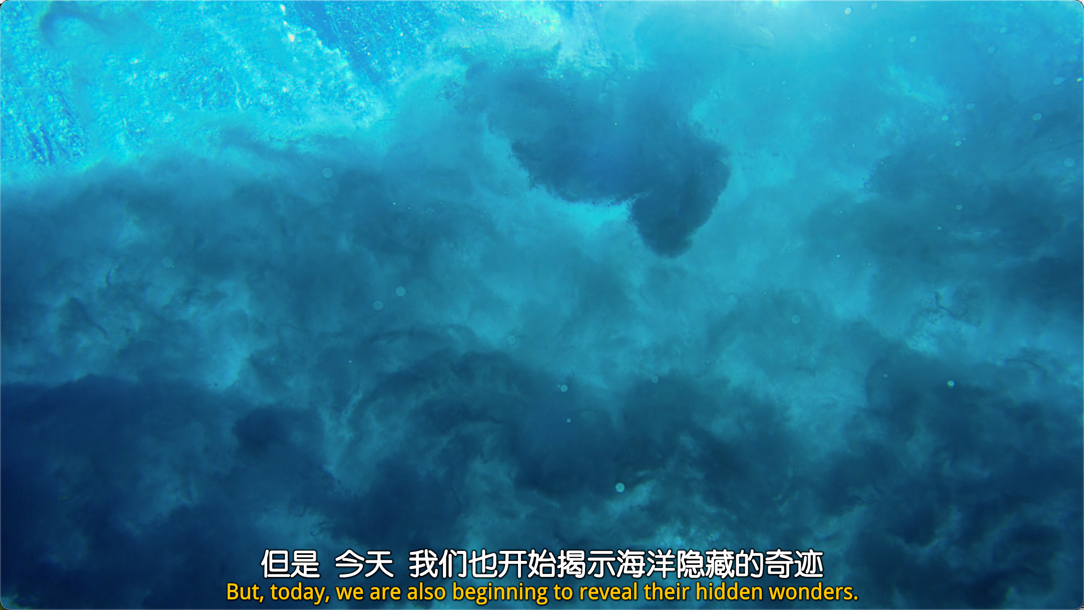 海洋：我们的蓝色星球 (2018)  [BBC纪录片]  [4K蓝光REMUX]  [HDR]  [英语内挂简英精调字幕]  [18.28G]  [已刮削]