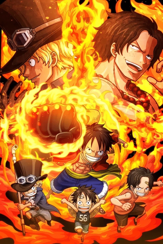 「稀缺粤配」《海贼王》TV更新至819集+剧场版 720P高清 共241G