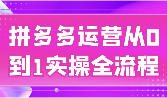 拼多多运营从0到1实操全流程 【1.8GB】