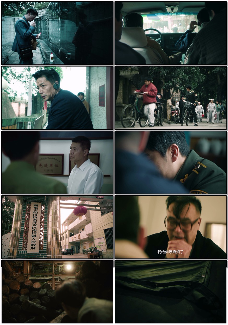   [扫毒风暴]  [第1-4集]  [2025段奕宏/秦昊/于文文犯罪热剧]  [国语中字]  [4K/1.8GB]
