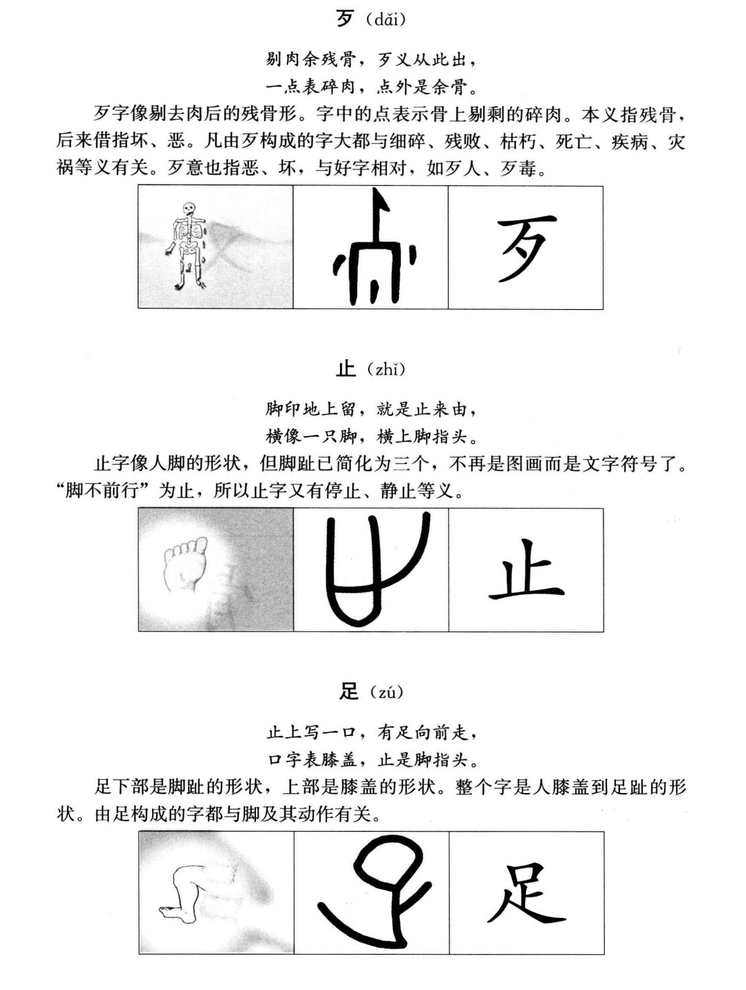  中华汉字经 pdf 86.3mb