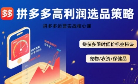 久号老师·拼多多选品暴LI技术实战课,拼多多高利润选品策略,拼多多限时低价标签秘诀【2.3GB/MP4】