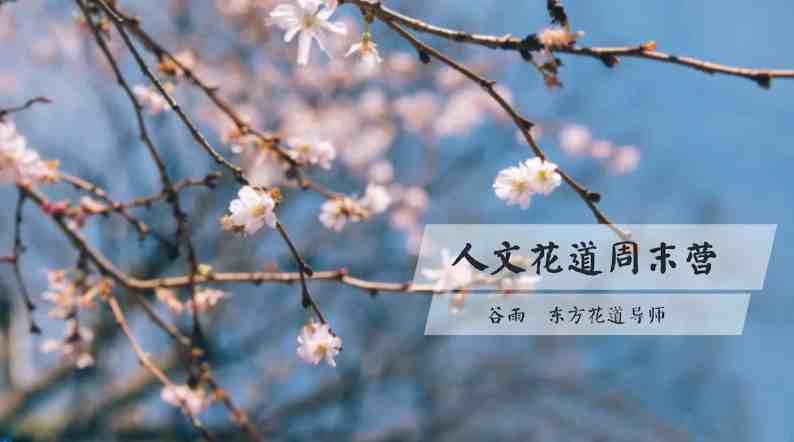 谷雨老师《人文花道美学营》插花教程【2.2GB/MP4】