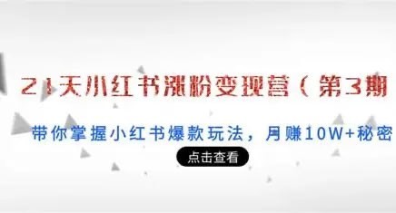 0基础小红书涨粉变现攻略，AI助力高效赚钱全流程解析【212MB】