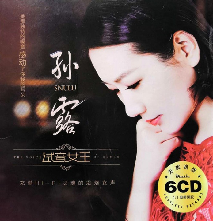 孙露10年经典348首无损hifi合集， 带目录HIRes+wav（18GB ）