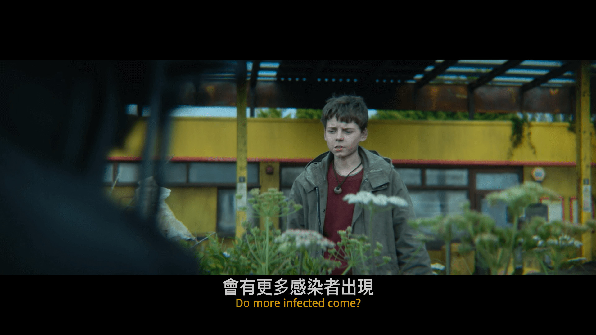 惊变28年 28 Years Later（2025）【4K HDR 高码率】 杜比全景声 【内封简英双语特效字幕】【11.9G】
