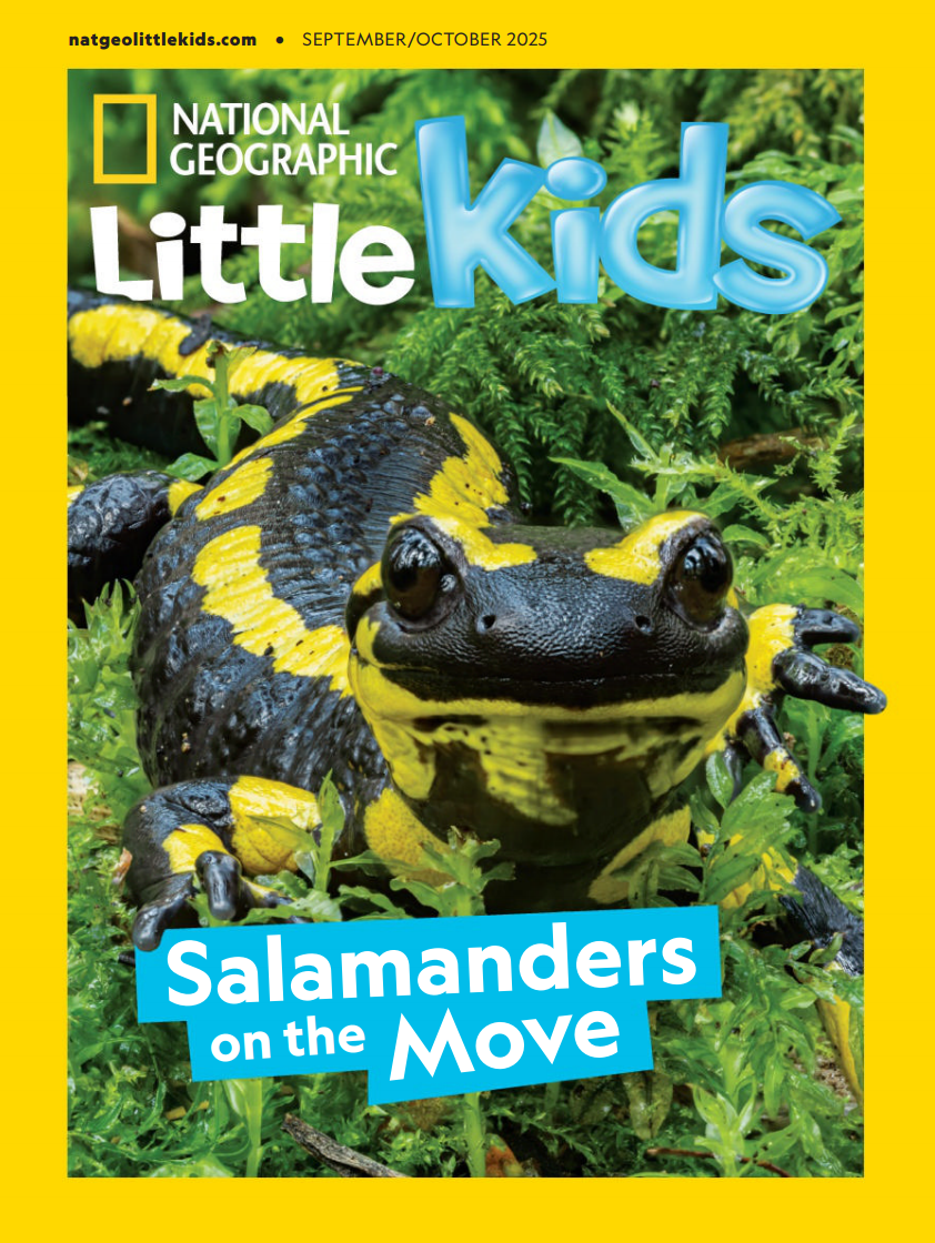 【外刊】《National Geographic Little Kids USA（美国国家地理幼儿版）》（2025年合集，更至第5期）【PDF】 [34.3MB]
