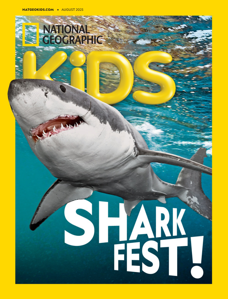 【外刊】《National Geographic Kids USA（美国国家地理儿童版）》（2025年合集，更至8月）【PDF】 [117.9MB]