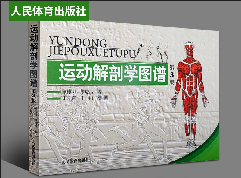 运动解剖学图谱(第3版)肌肉塑造教程书运动生理学医学书籍