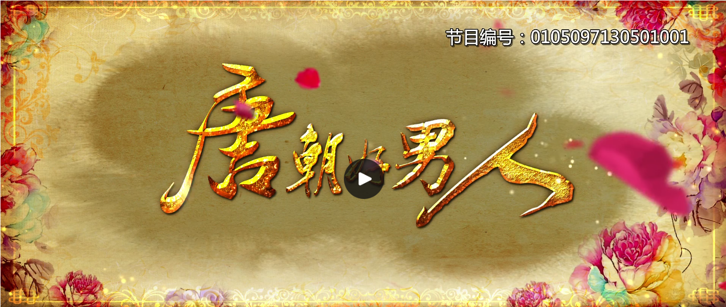 20250825唐朝好男人系列剧【2013-2014】1080P【国语内封简体中文字幕】单集100-700M【共2季80集】27.5G