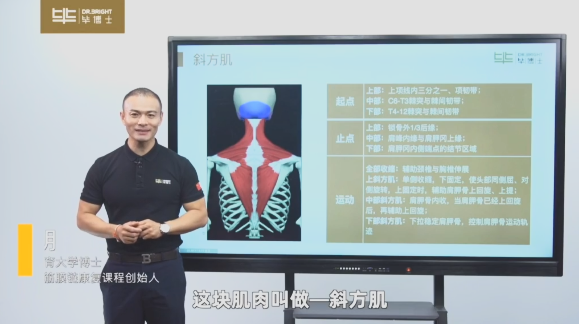 20250831毕博士《一张床搞定全身肌肉拉伸》共 50 个项目3.3GB