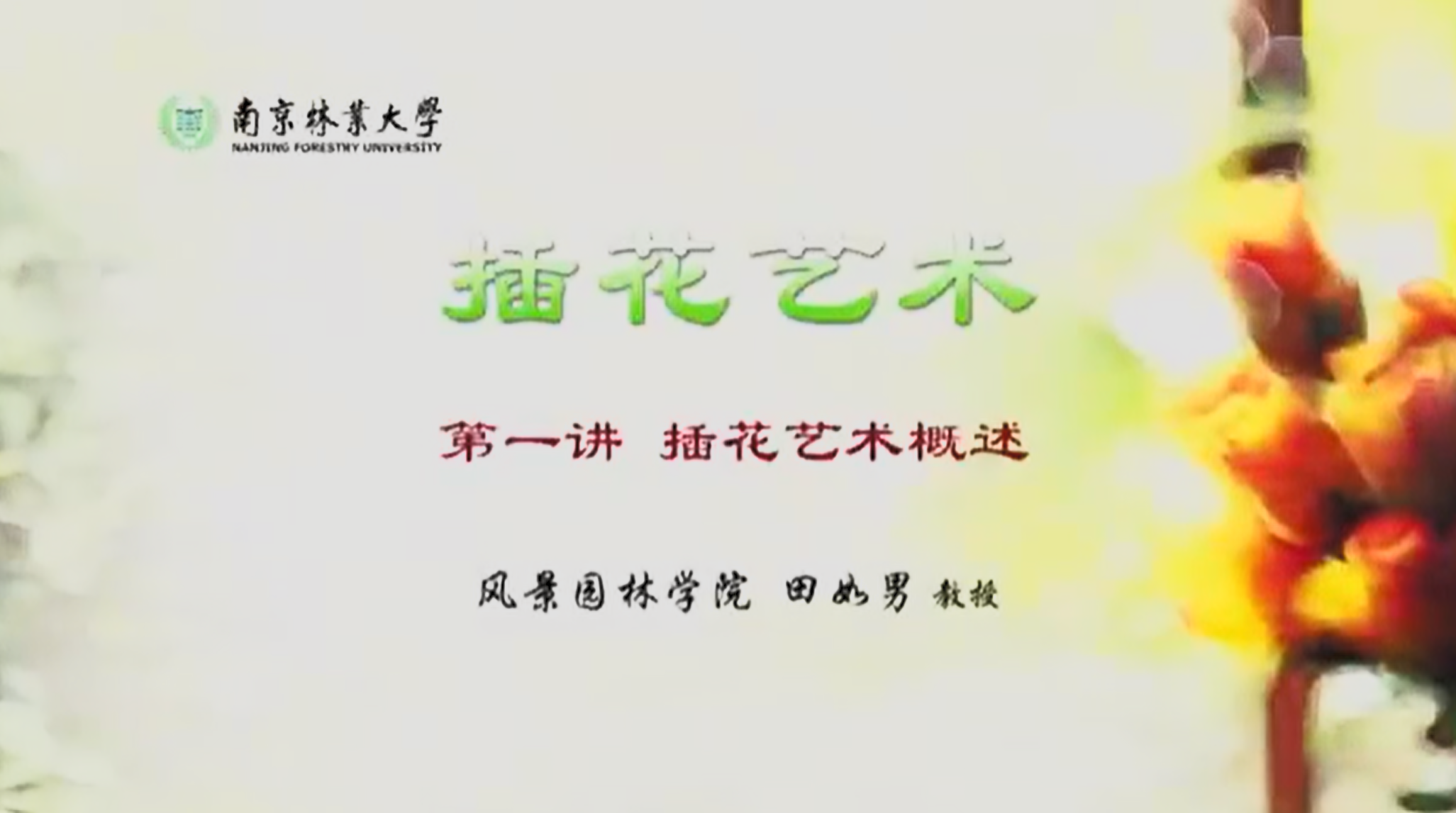 20250809花艺课程《零基础插花入门课》全6课完结【377.2MB】