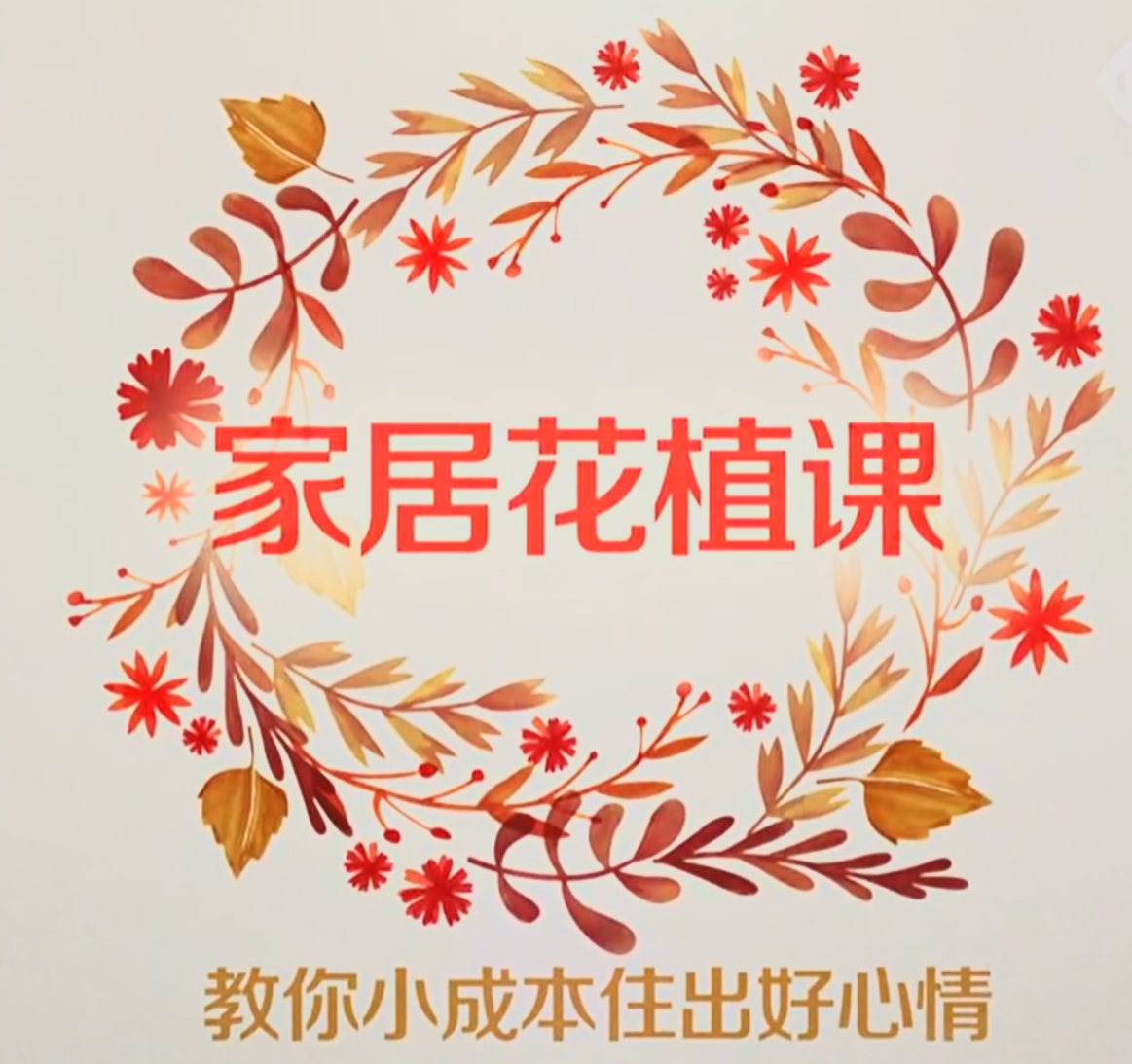 20250808罗小蕙《12堂家居花艺绿植课，教你小成本住出好心情》【1.3G】