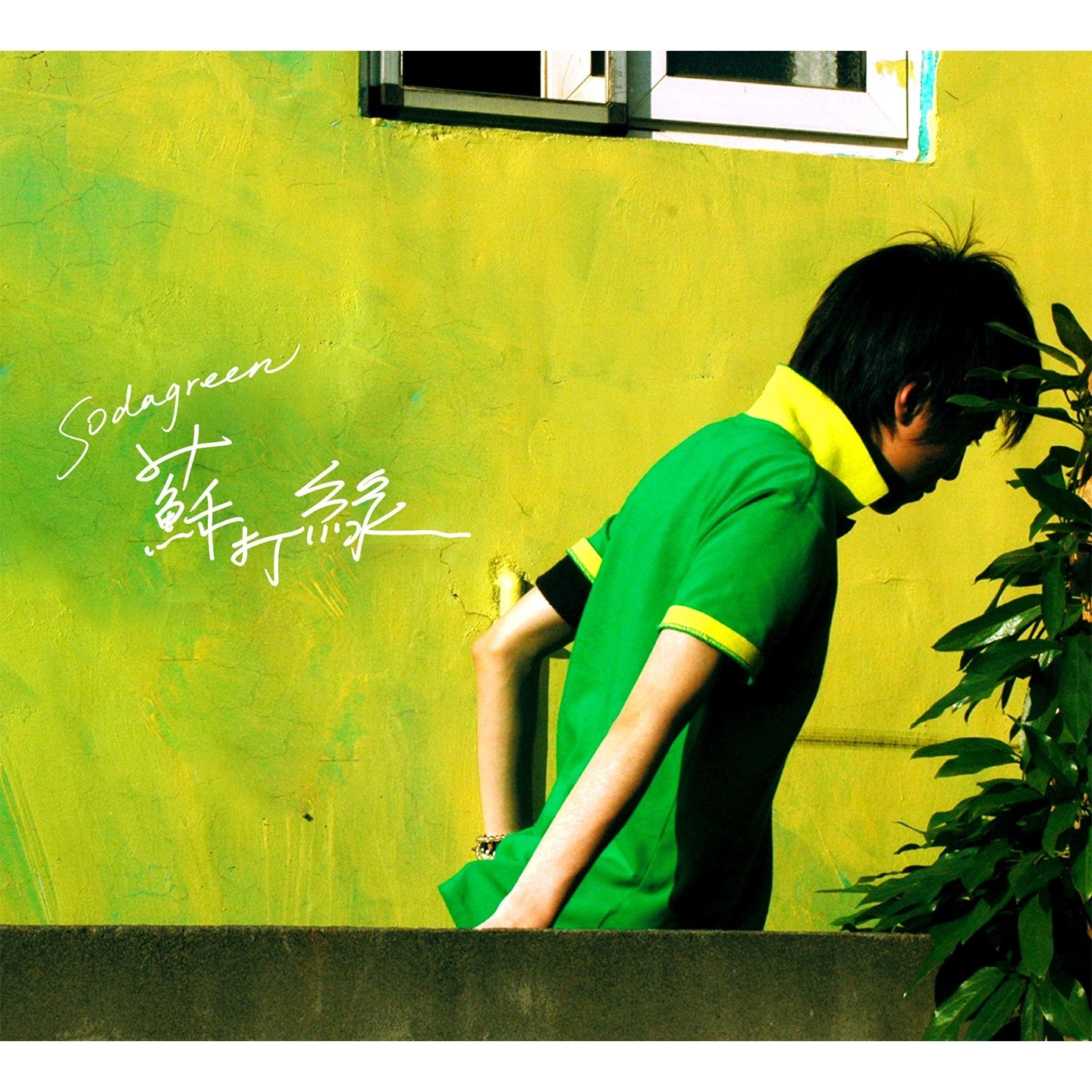 苏打绿 2004-2025生涯发布的所有专辑单曲EP现场录音  无损HiRes音质 格式:FLAC/ALAC 大小:37.2GB