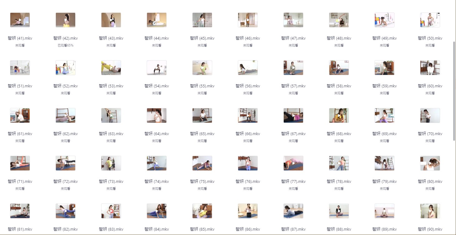 多位韩国瑜伽老师1000+高清课程视频 4k/mkv/122.6G