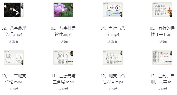 赵奕臻子平之法精英篇 【6.5GB】