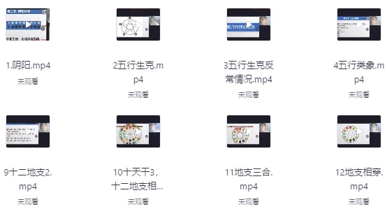 盲派山阳老师全套课程20集+课件 【7.3GB】