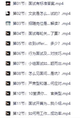 「文武老师60节套路面试必成术【完结】」（2.2GB）