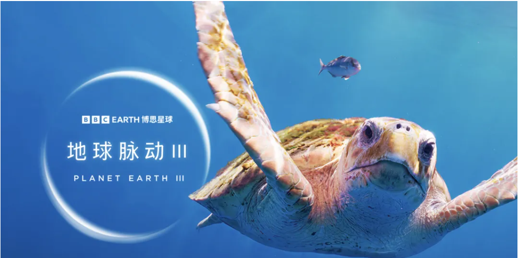 地球脉动.1-3季+生命礼赞+奇迹世界 三季全✨