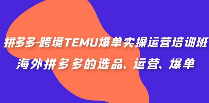 跨境TEMU爆单运营实操培训班，海外拼多多的选品、运营、爆单【1.2GB】