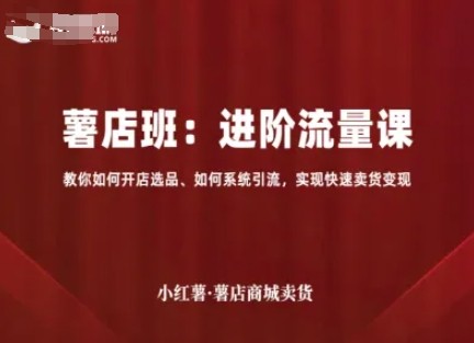 小红薯薯店商城卖货，进阶流量课，教你如何开店选品、如何系统引流，实现快速卖货变现【1GB/MP4】